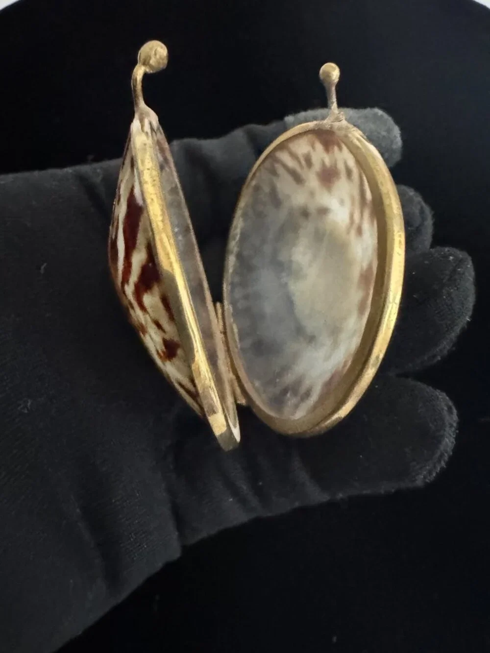 Shell trinket box with brass rim